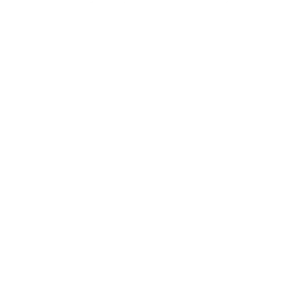 Icon Kalender weiss